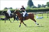 UKPA NC SAT_2236